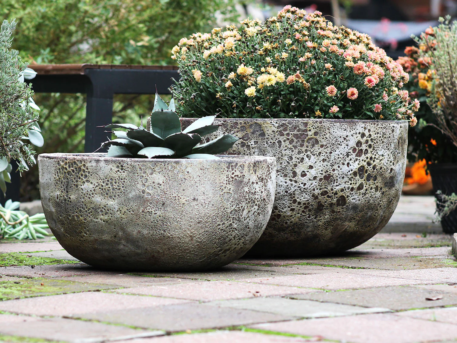 Half Moon Bowl - Set of 2 By Plantatorem - Image 6