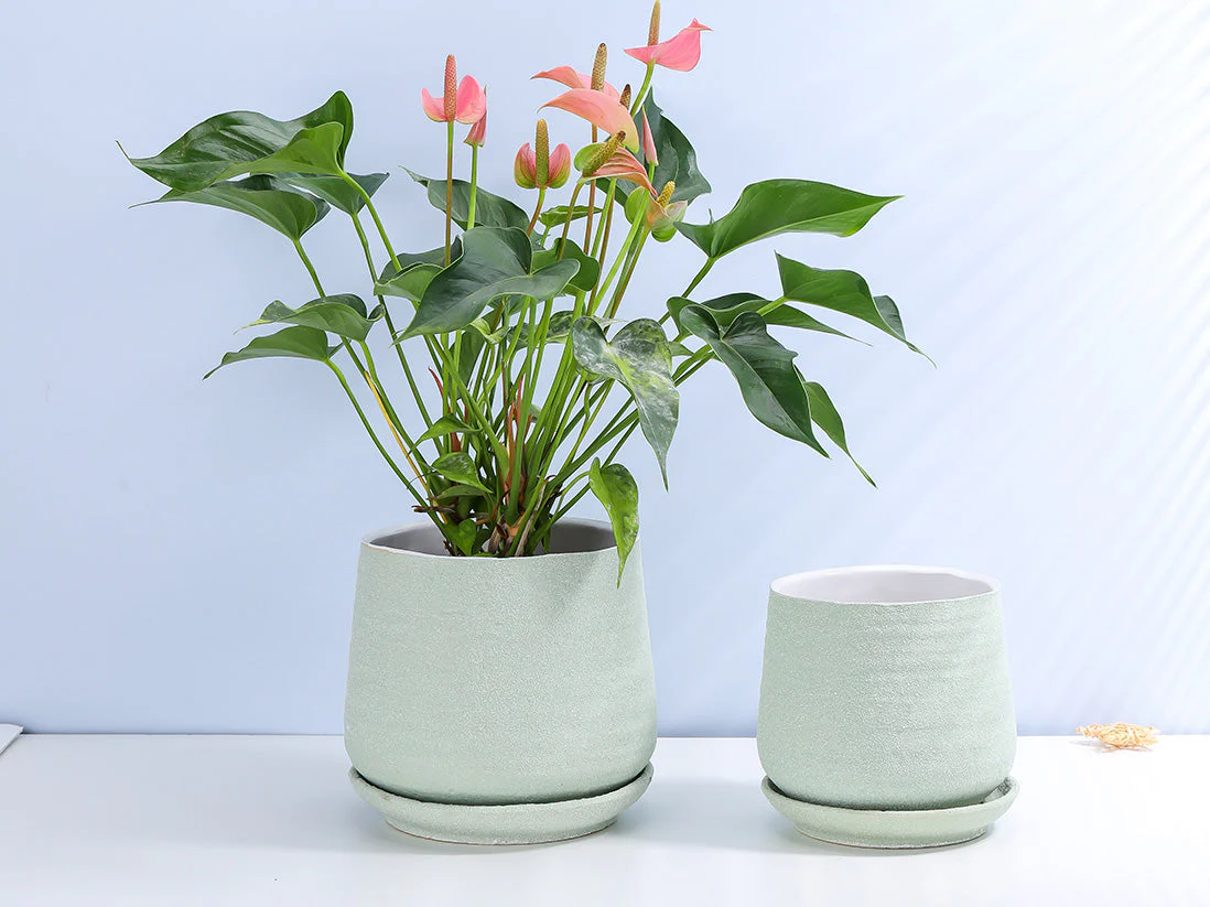 Hand Rolled Pot With Attached Saucer By Plantatorem - Image 8