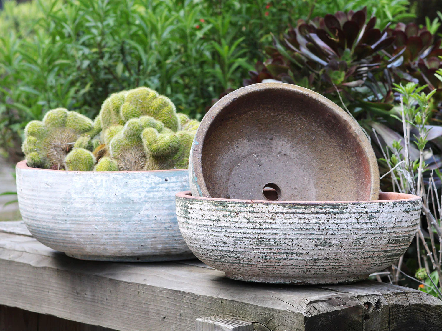 Hand Thrown Bowl-Set of 3 By Plantatorem - Image 2