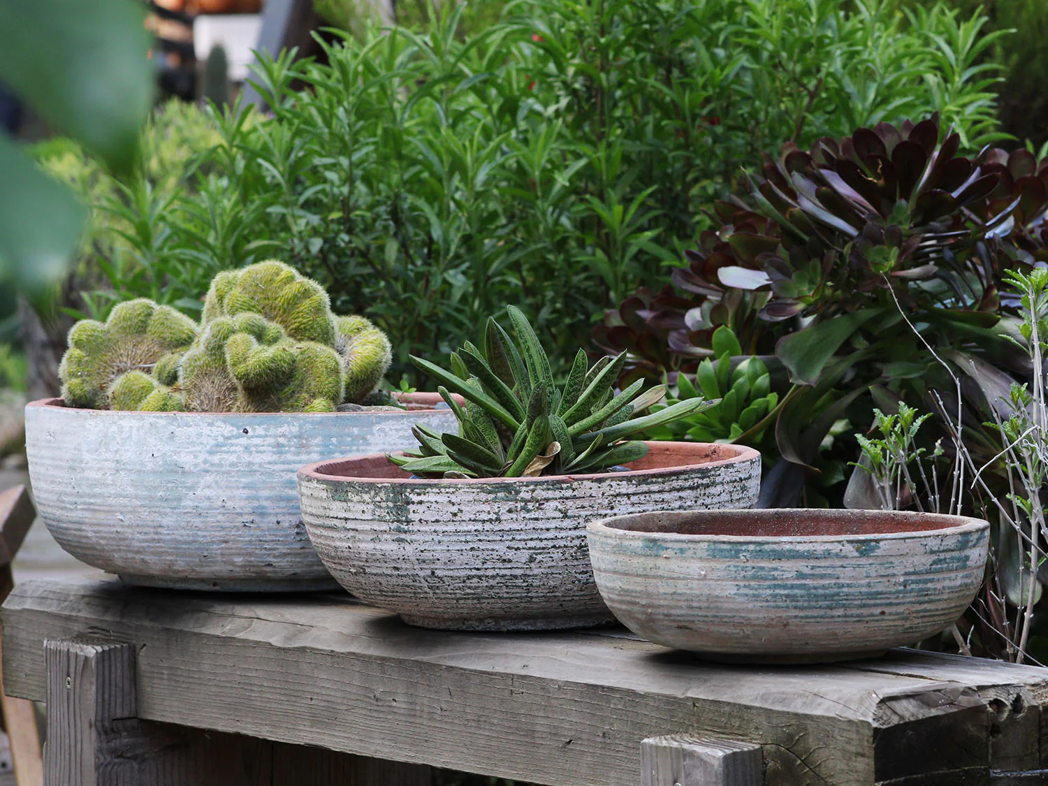 Hand Thrown Bowl-Set of 3 By Plantatorem - Image 5