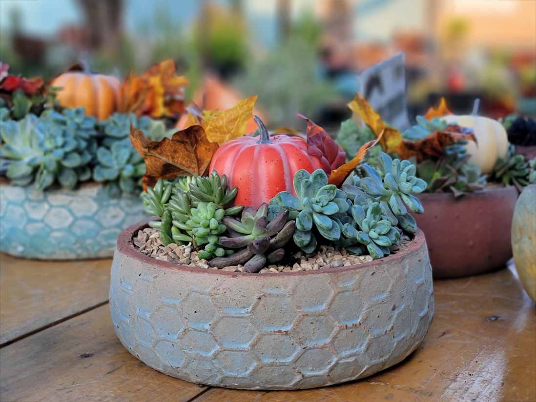 Hand Thrown Hexagon Bowl-Set of 4 By Plantatorem - Image 2