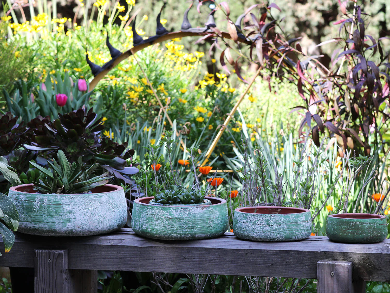 Hand Thrown Smooth Bowls- Set of 4 By Plantatorem - Image 2