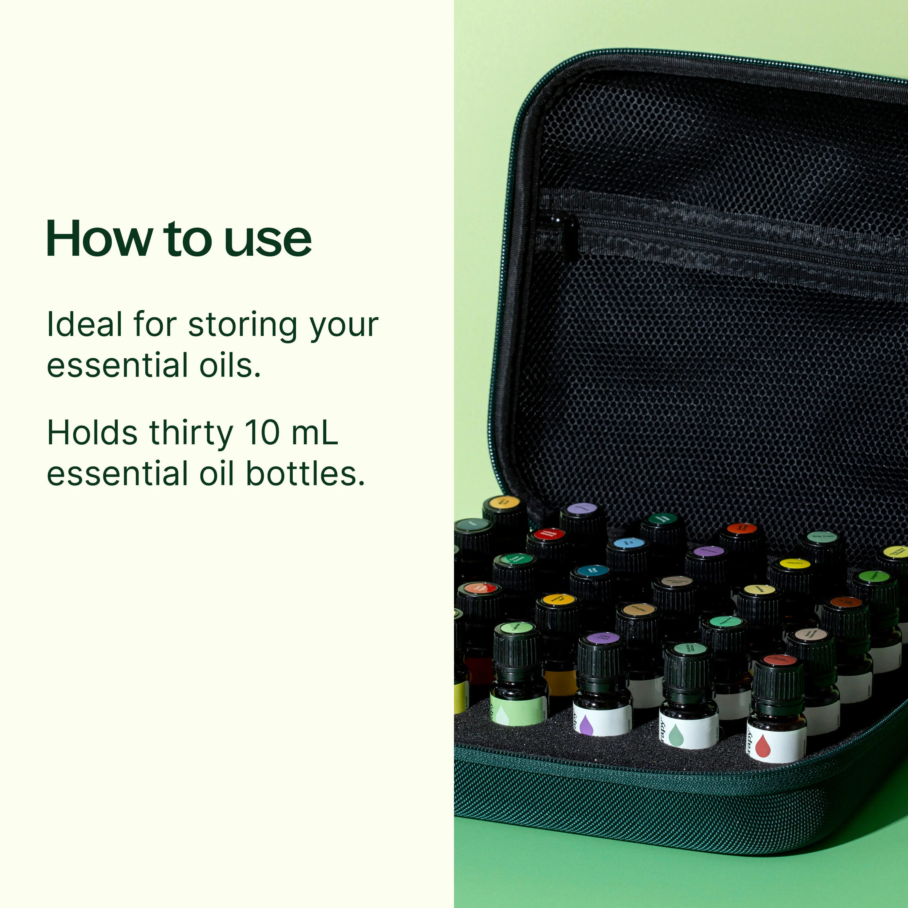 Hard-Top Carrying Case Large Dark Green (30 Count) - Image 2