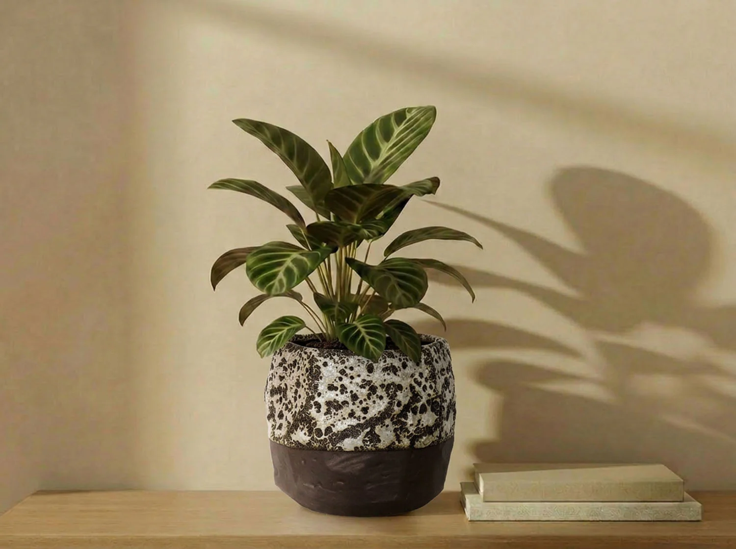 Hexagon Handformed Planter - Image 2
