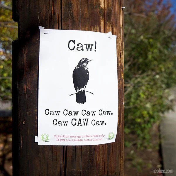 High Five This Sign | Book of 23 Funny Prank Posters - Image 5
