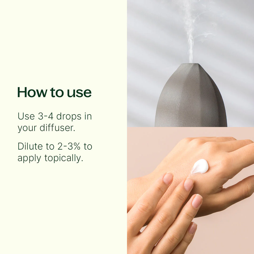 Holly Berries® Essential Oil Blend - Image 3