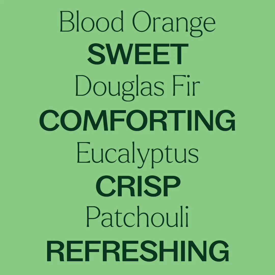 Holly Berries® Essential Oil Blend - Image 5