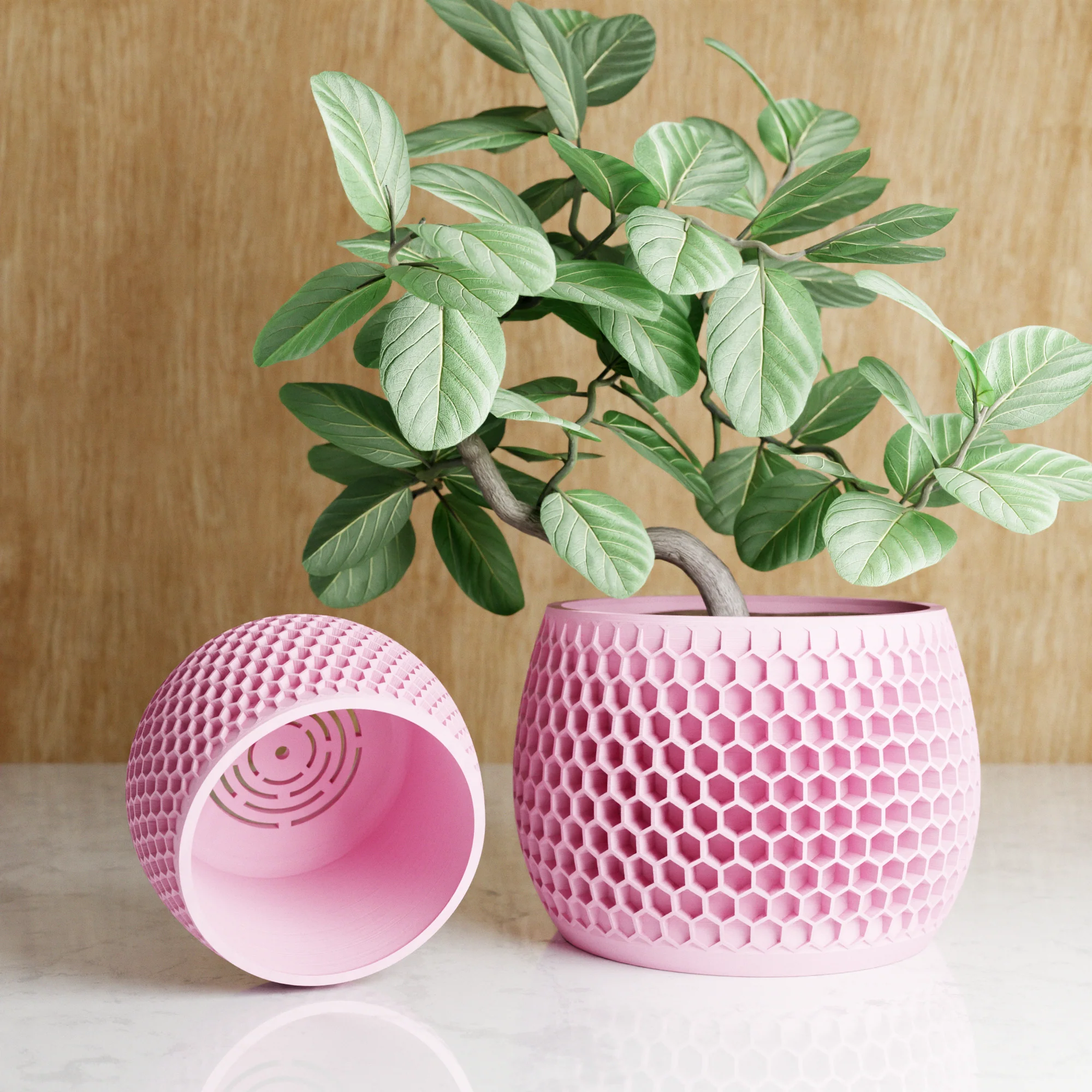 Honeycomb Planter - Image 11