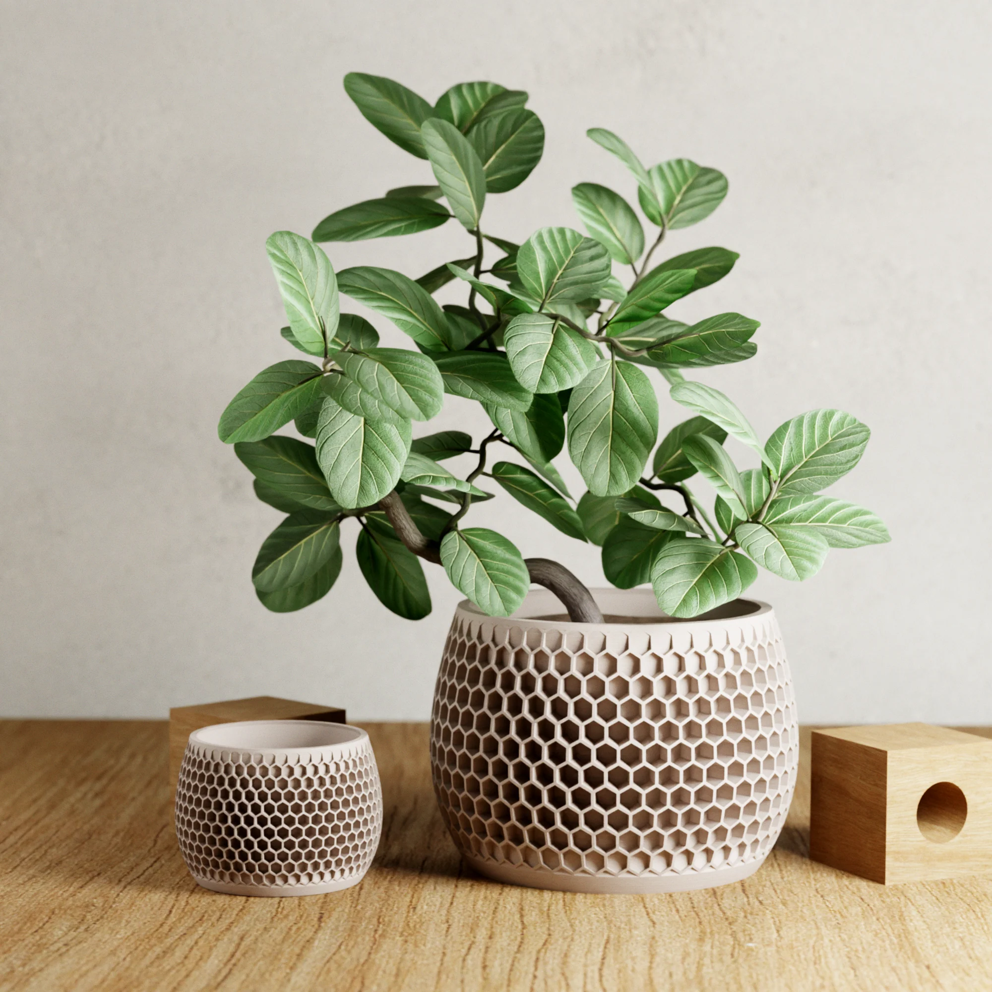 Honeycomb Planter - Image 4