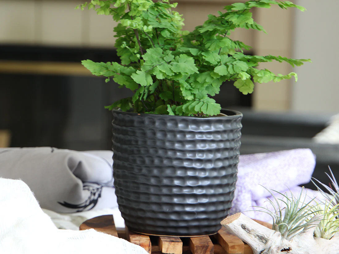 Honeycomb Planter- 6.5" x 5.5" By Plantatorem - Image 5