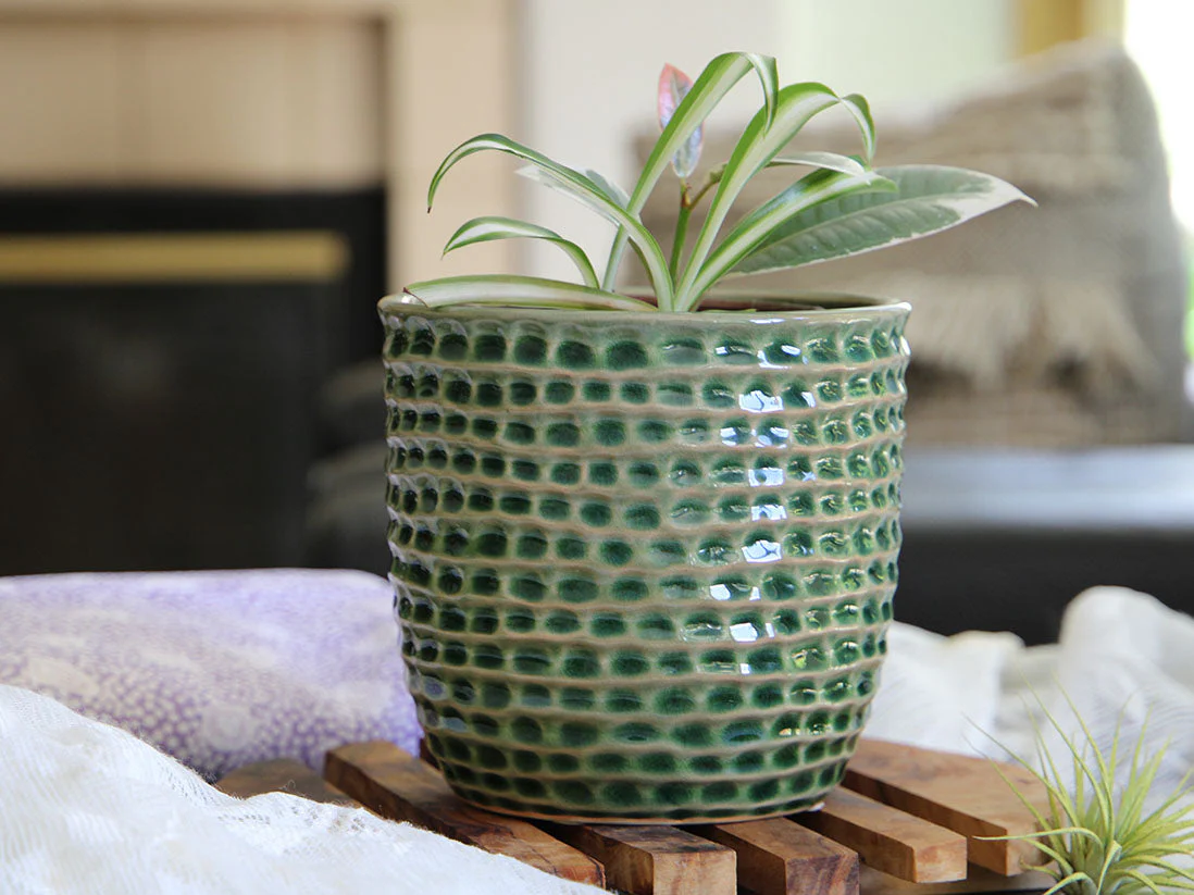 Honeycomb Planter- 6.5" x 5.5" By Plantatorem - Image 7