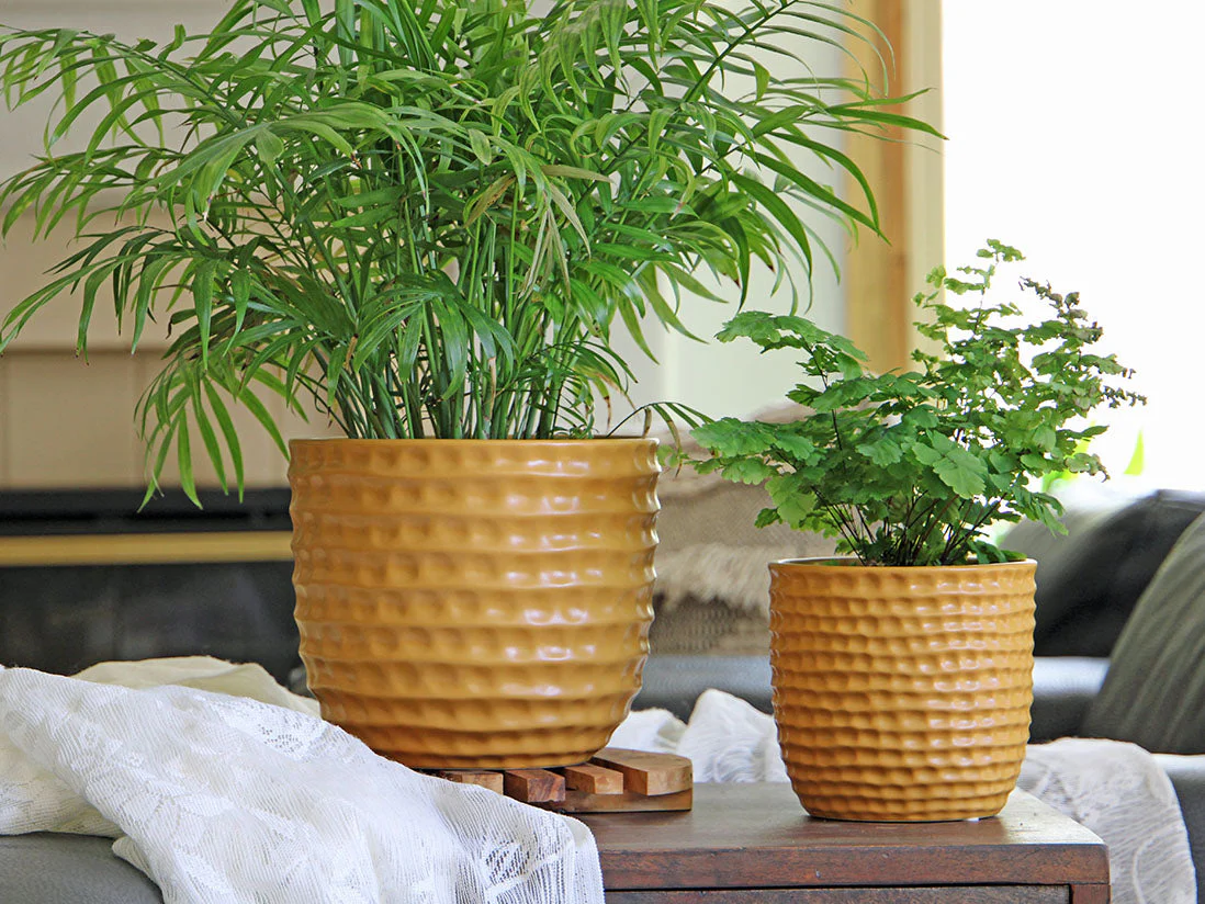 Honeycomb Planter - 9.0" x 8.5" By Plantatorem - Image 10
