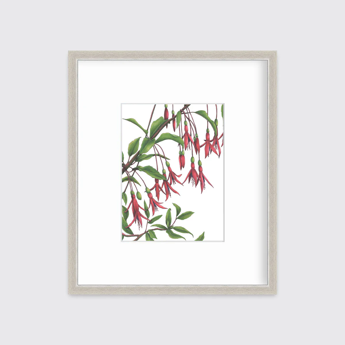 Hummingbirds - Open Edition Paper Print - Image 3