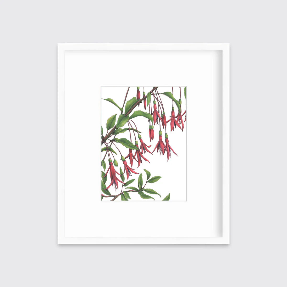 Hummingbirds - Open Edition Paper Print - Image 4