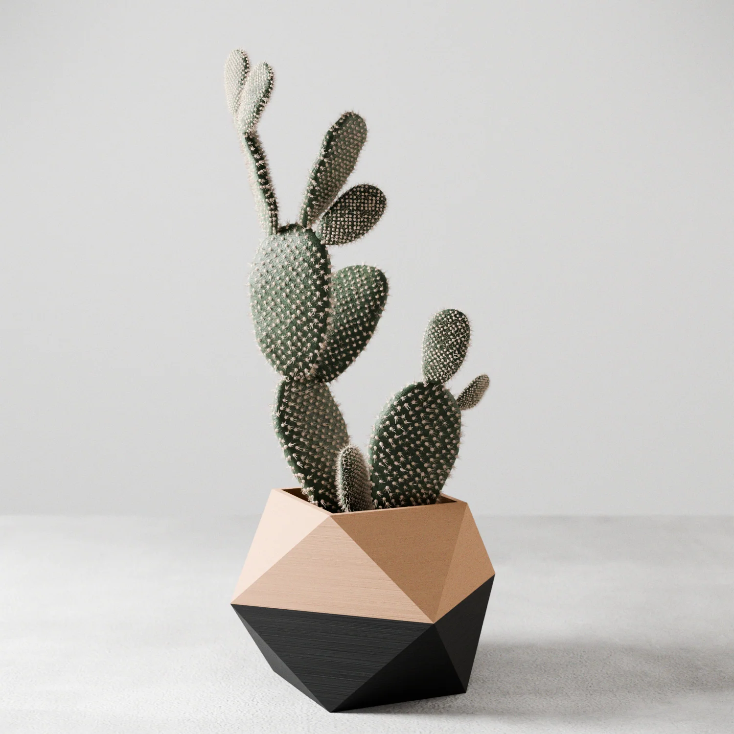 ICO Planter - Image 2
