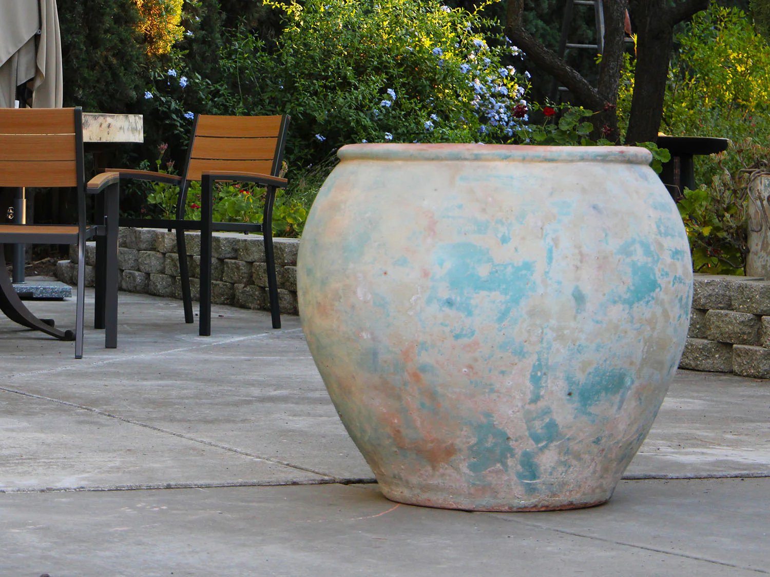 Jar De Pelion - Image 4