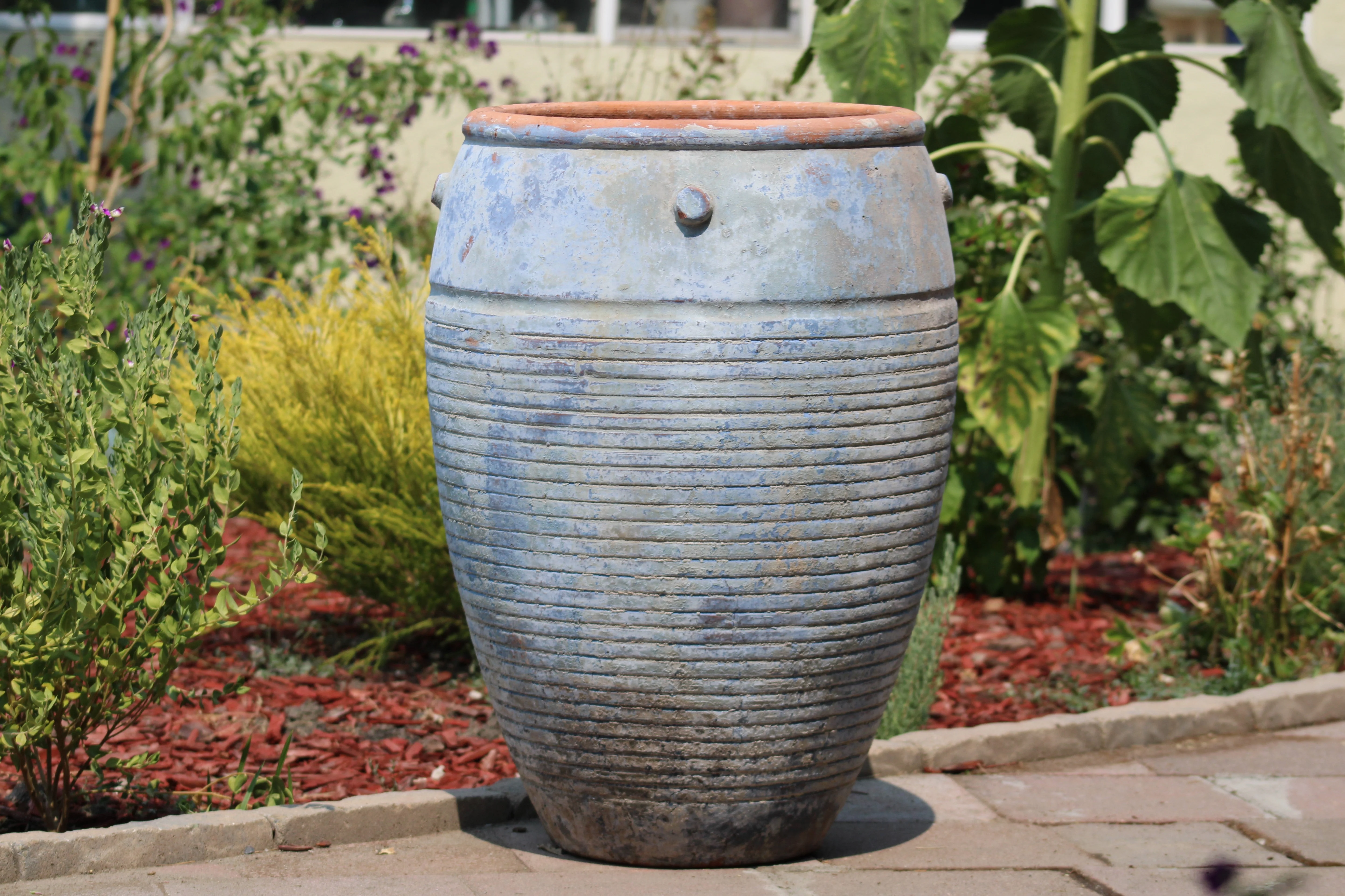 Jar De Santorini By Plantatorem - Image 4