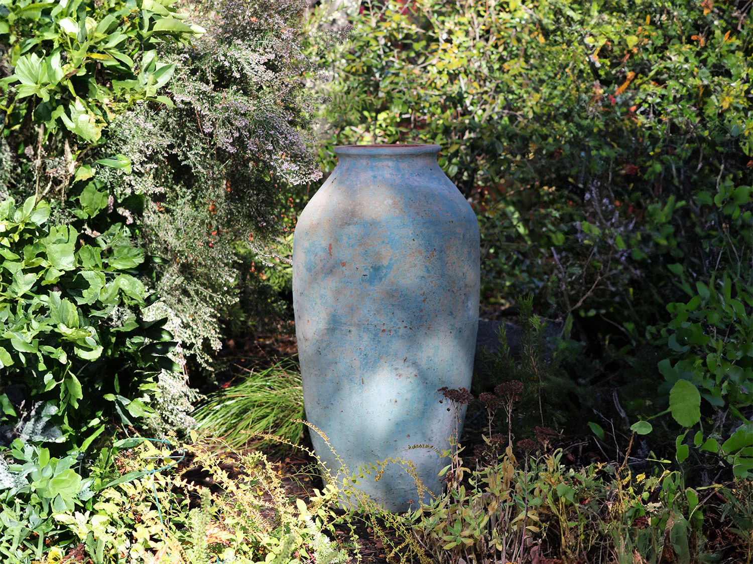 Jar del Portal By Plantatorem - Image 4