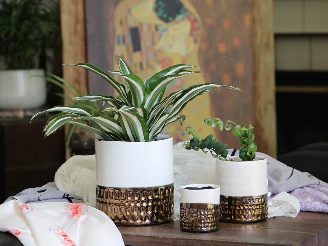 Jewel Cache Pot By Plantatorem - Image 2
