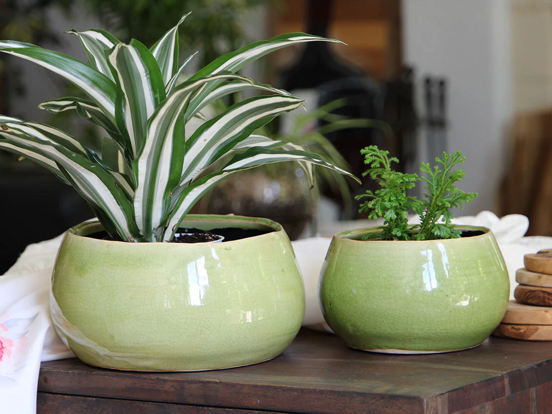 Jewel Freeform Bowl By Plantatorem - Image 5