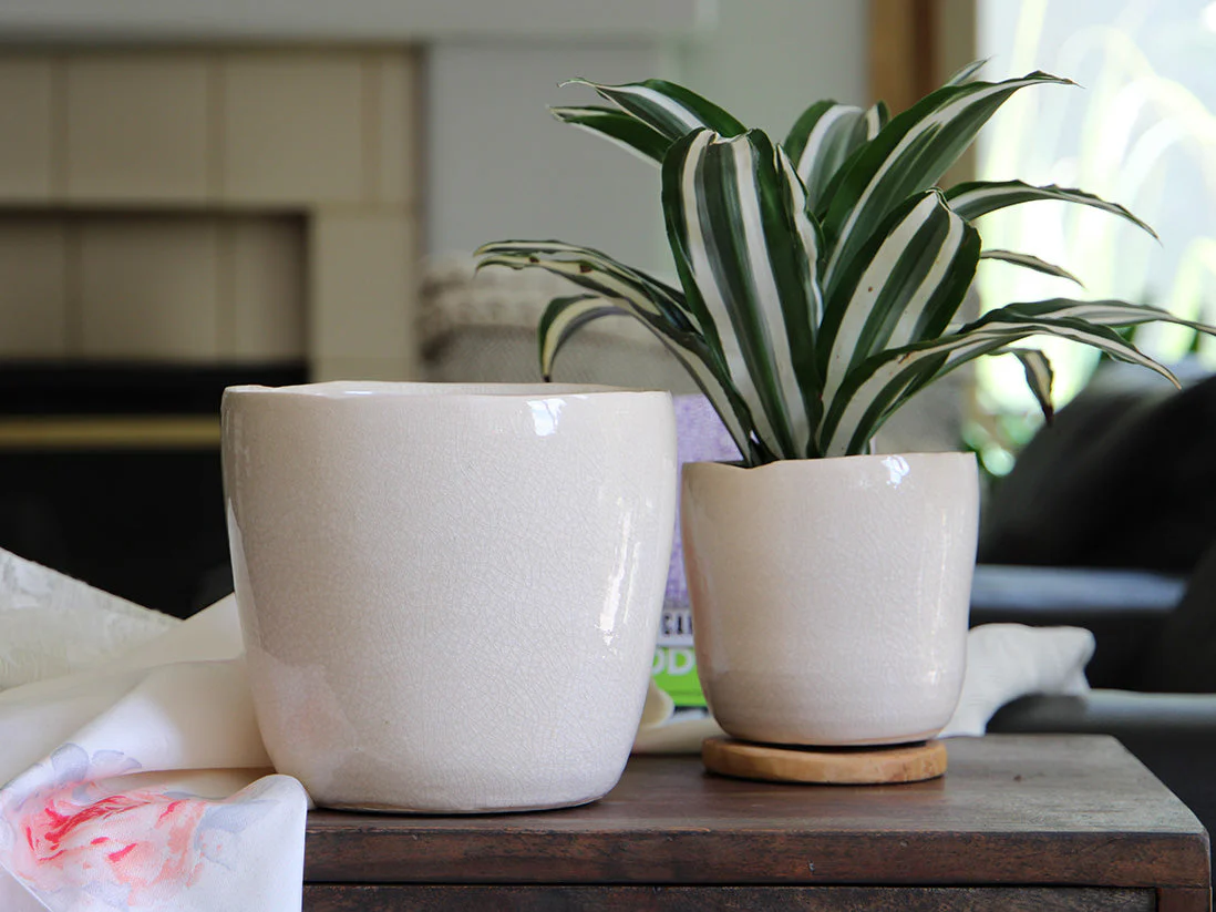 Jewel Freeform Planter By Plantatorem - Image 2