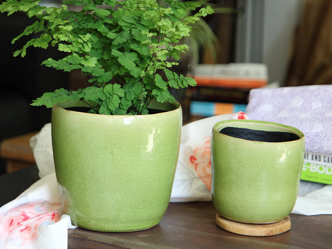 Jewel Freeform Planter By Plantatorem - Image 5