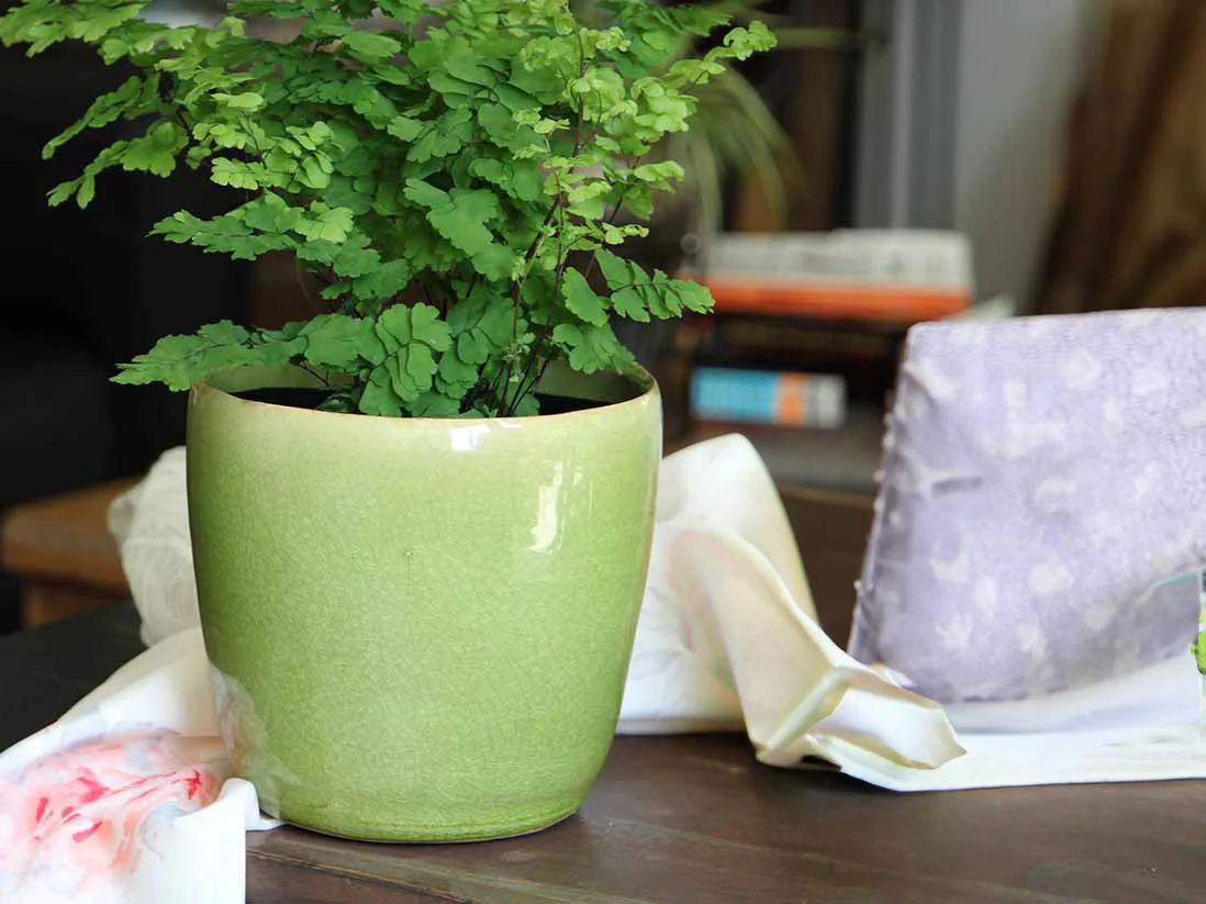 Jewel Freeform Planter By Plantatorem - Image 9