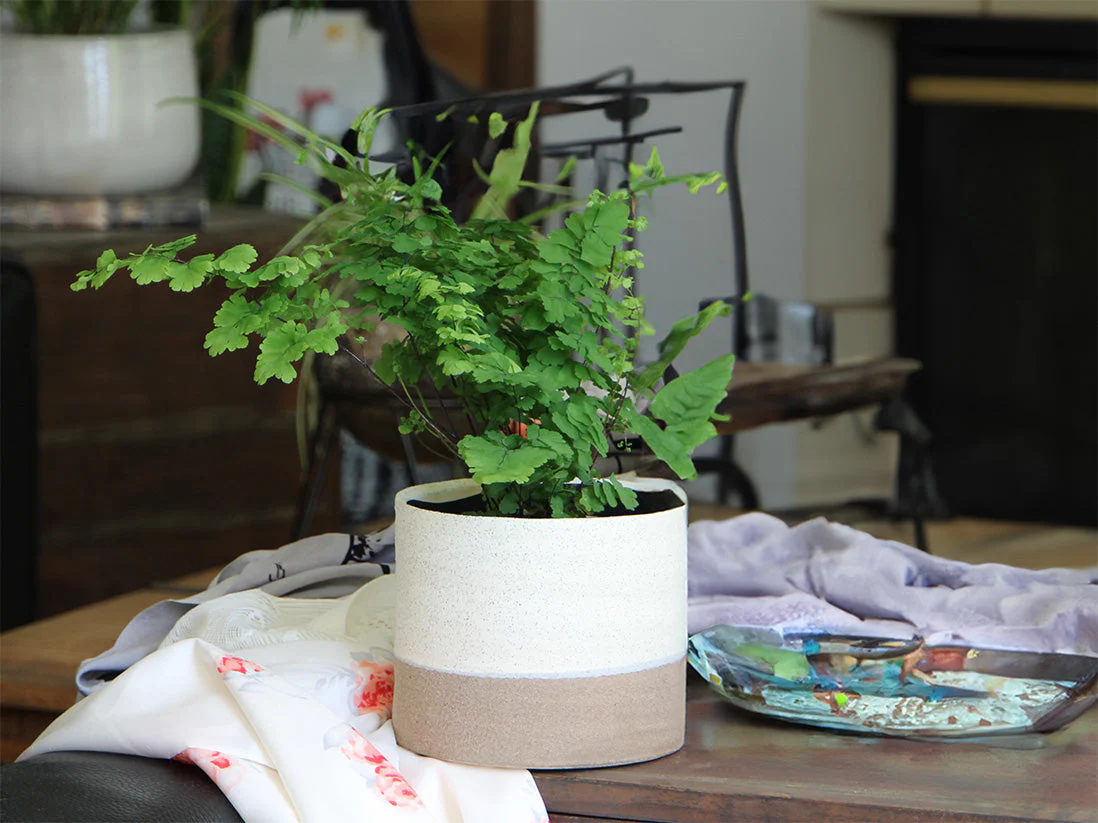 Jewel Mug Planter By Plantatorem - Image 3