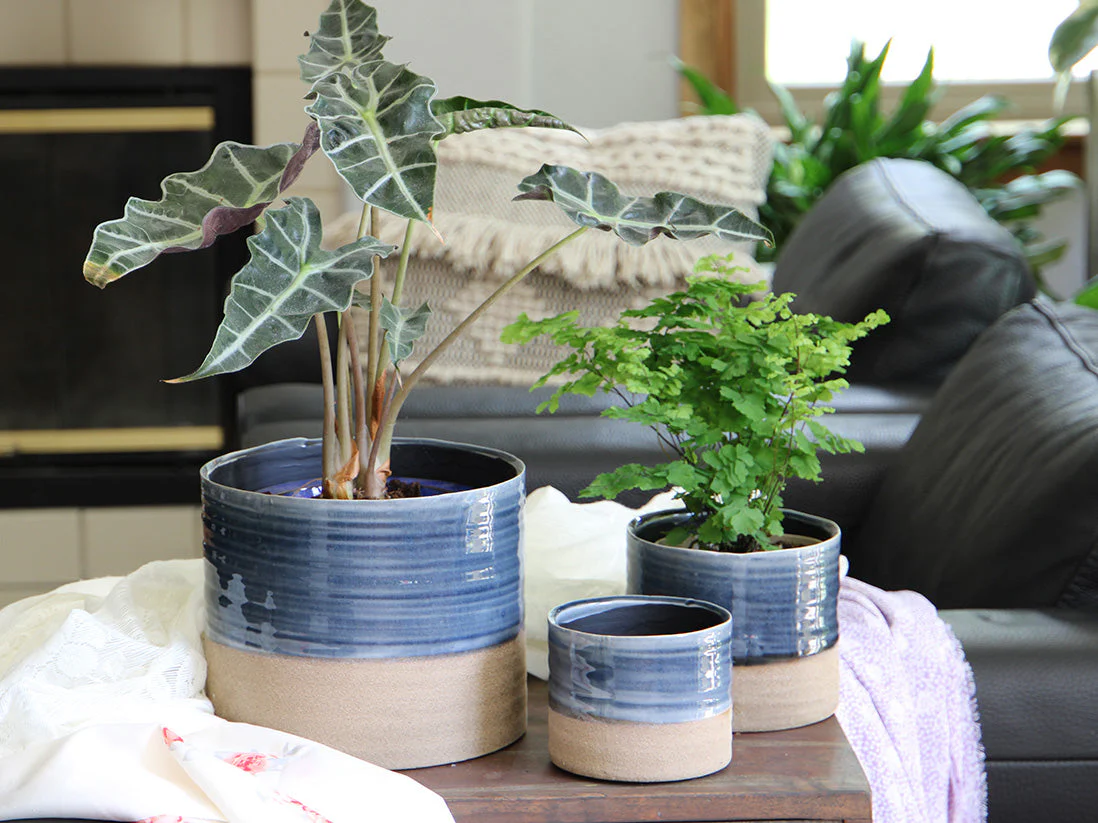 Jewel Mug Planter By Plantatorem - Image 6