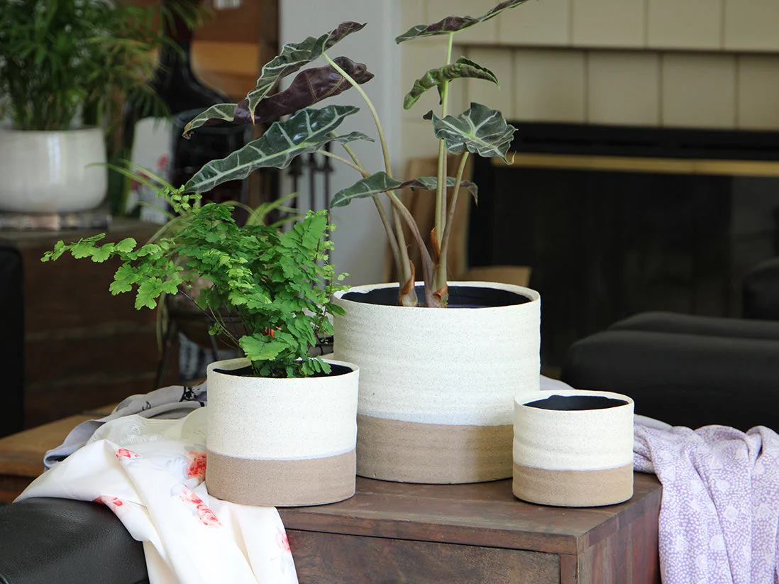 Jewel Mug Planter By Plantatorem - Image 7