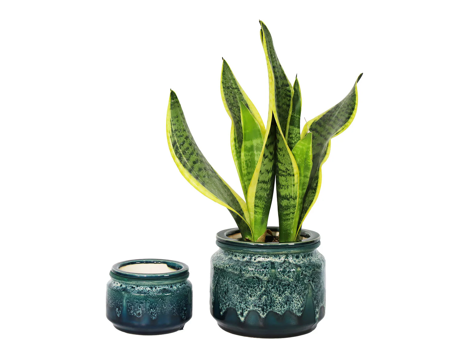 Jewel Self-Watering Planter By Plantatorem - Image 10
