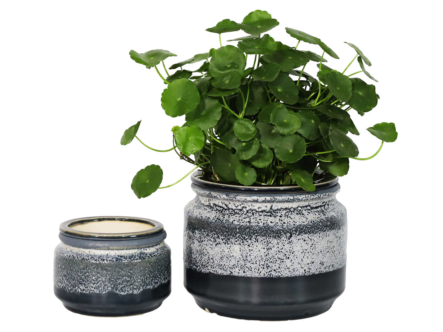 Jewel Self-Watering Planter By Plantatorem - Image 5