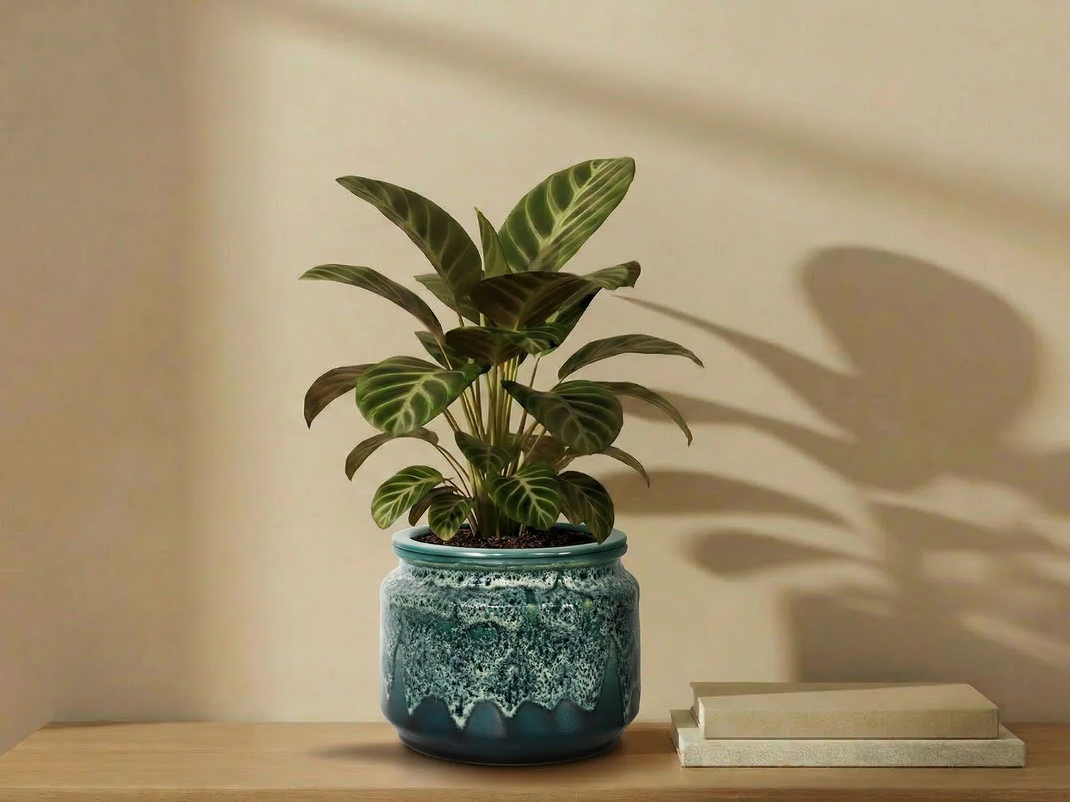 Jewel Self-Watering Planter By Plantatorem - Image 7