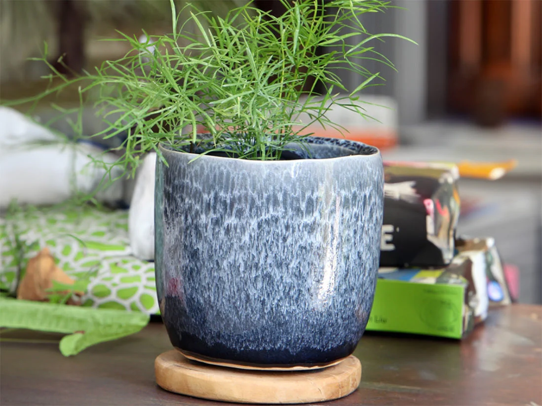Jewel Teacup Planter By Plantatorem - Image 3