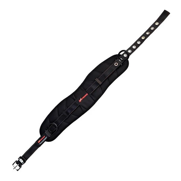 Kapture - Padded Waist Belt - 2 Work Positioning Side D-Rings - Removable Tool Belt - Image 2