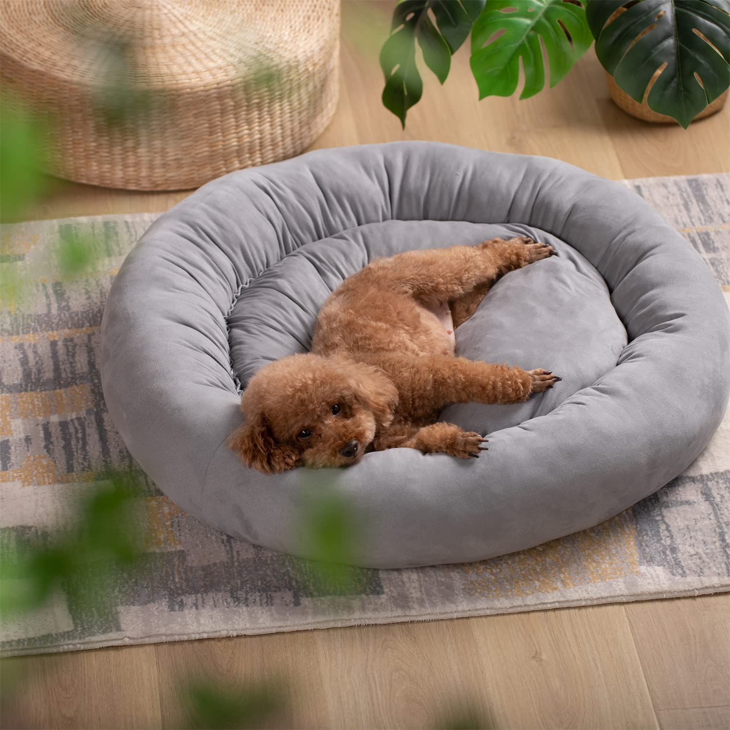 Kasentex Donut Design Round Dog Bed, Anti Slip and Machine Washable - Image 11