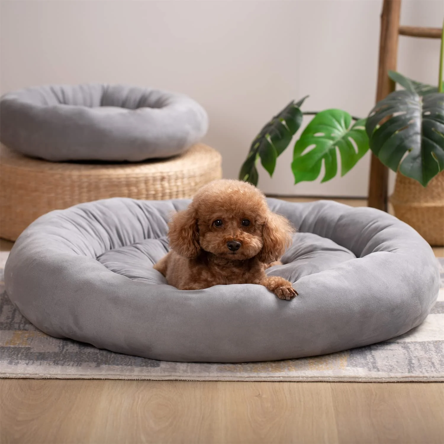 Kasentex Donut Design Round Dog Bed, Anti Slip and Machine Washable - Image 14