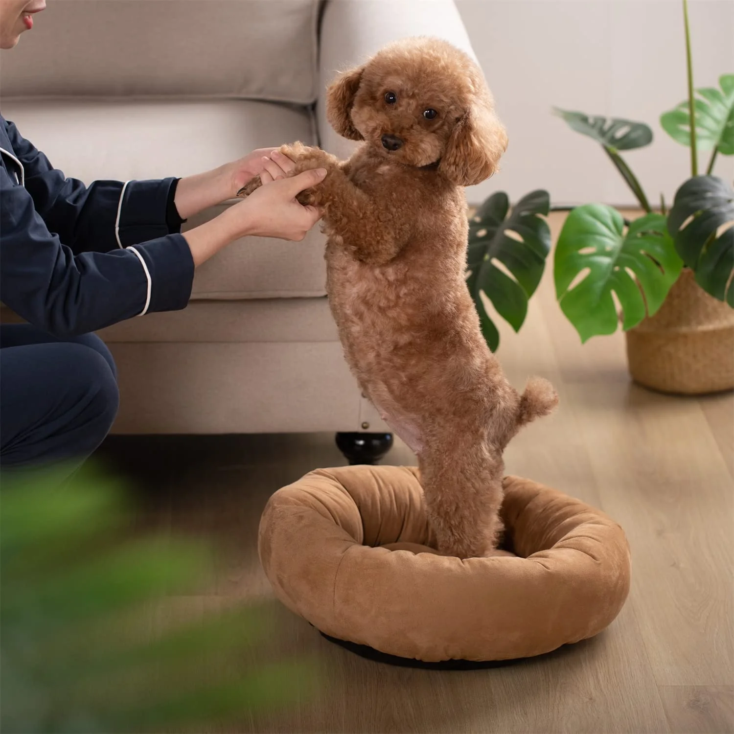Kasentex Donut Design Round Dog Bed, Anti Slip and Machine Washable - Image 17