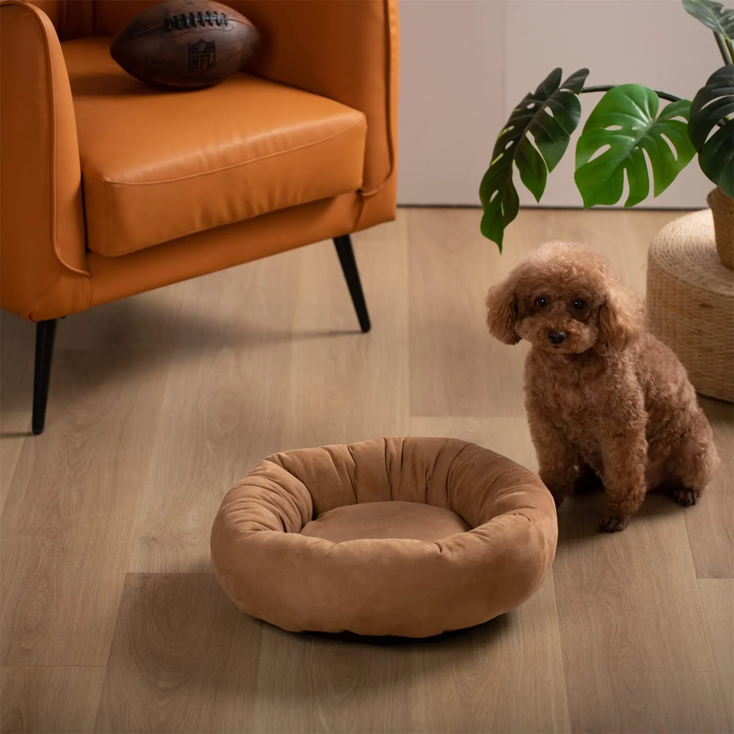 Kasentex Donut Design Round Dog Bed, Anti Slip and Machine Washable - Image 19