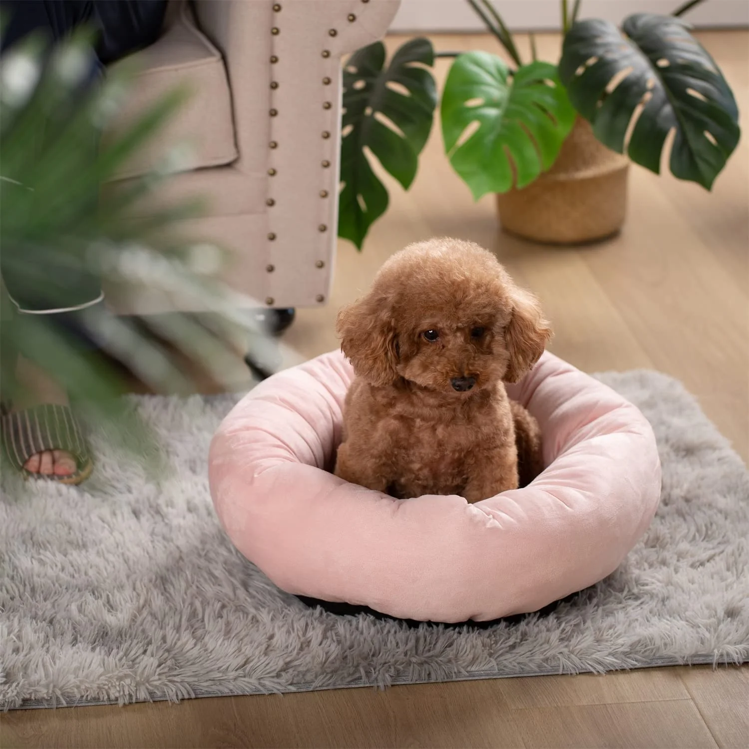 Kasentex Donut Design Round Dog Bed, Anti Slip and Machine Washable - Image 4