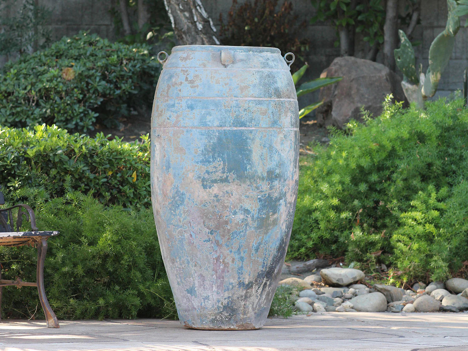 Latin Amphora - Image 3