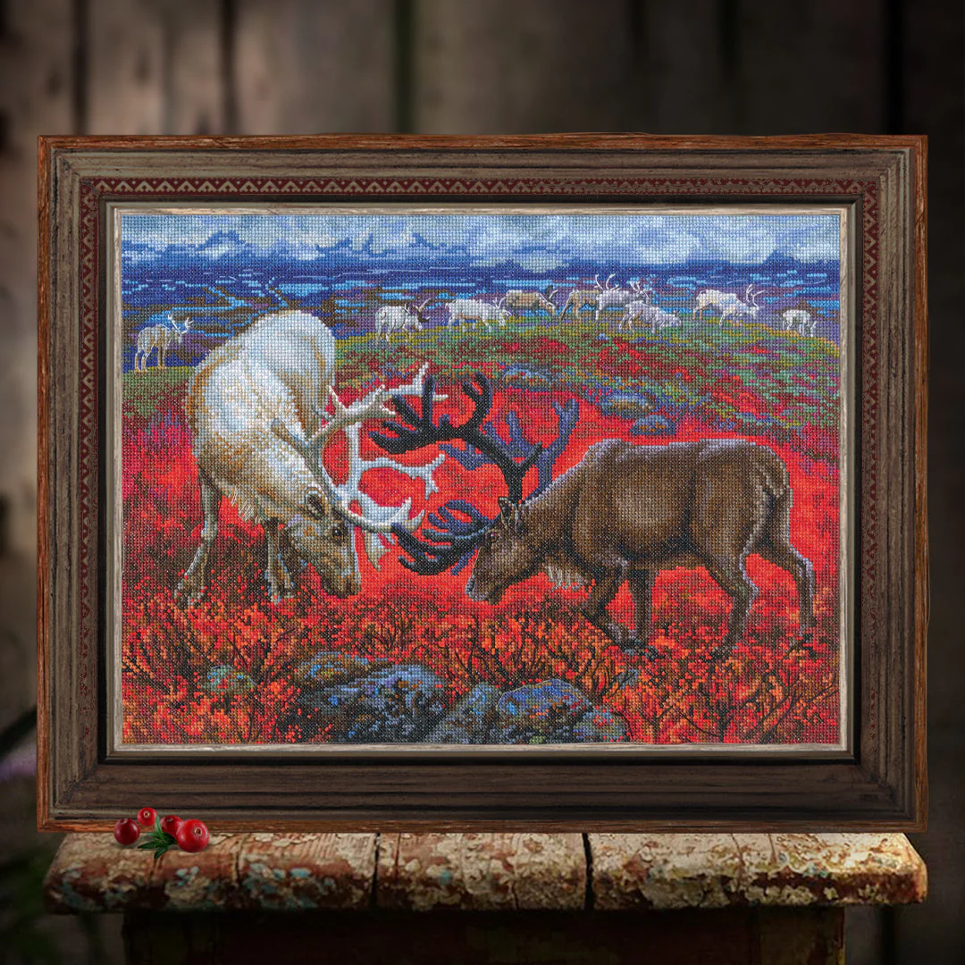 Law of the tundra M1014 Counted Cross Stitch Kit - Image 3