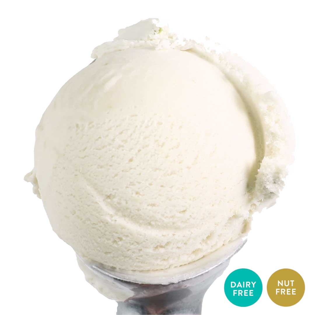 Lemon Sorbet | Pack of 4 | One Pint | Shipping Included | eCreamery - Image 2