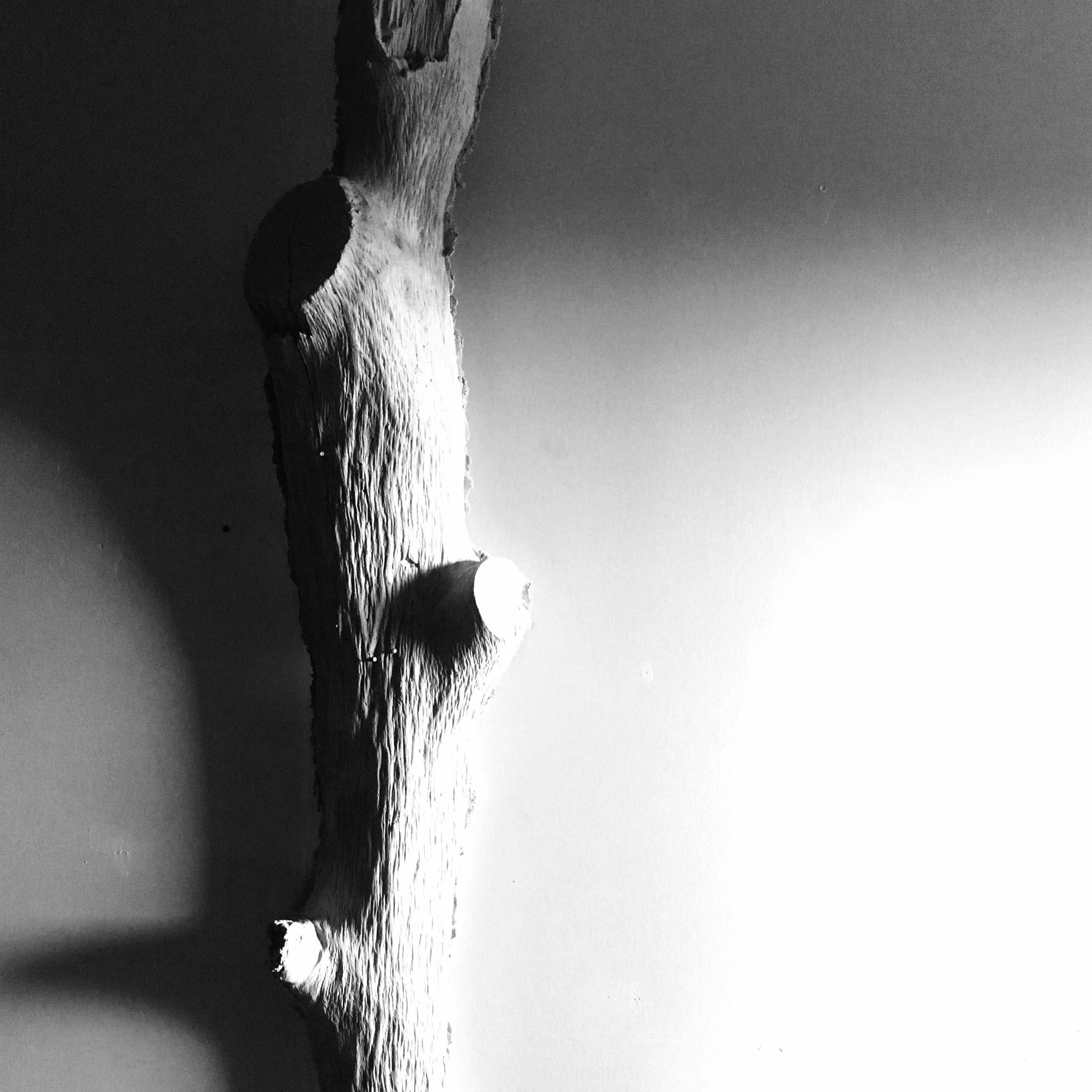 Light Weight Concrete Tree - Image 3