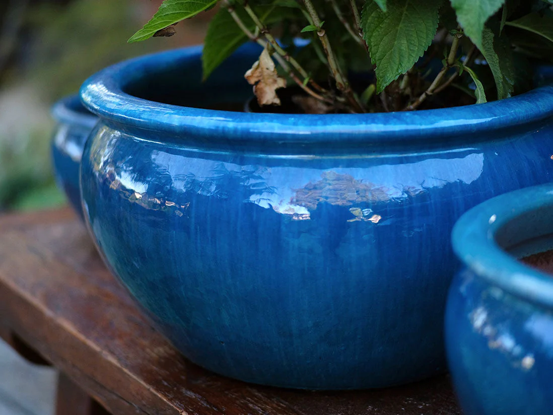 Low Jar Planter - Set of 3 By Plantatorem - Image 3