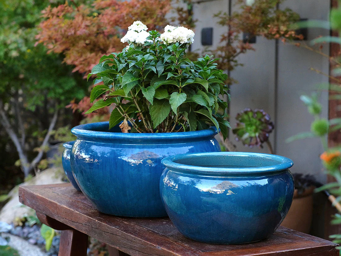 Low Jar Planter - Set of 3 By Plantatorem - Image 7