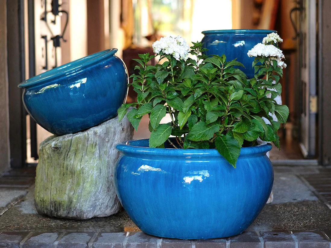 Low Jar Planter - Set of 3 By Plantatorem - Image 8