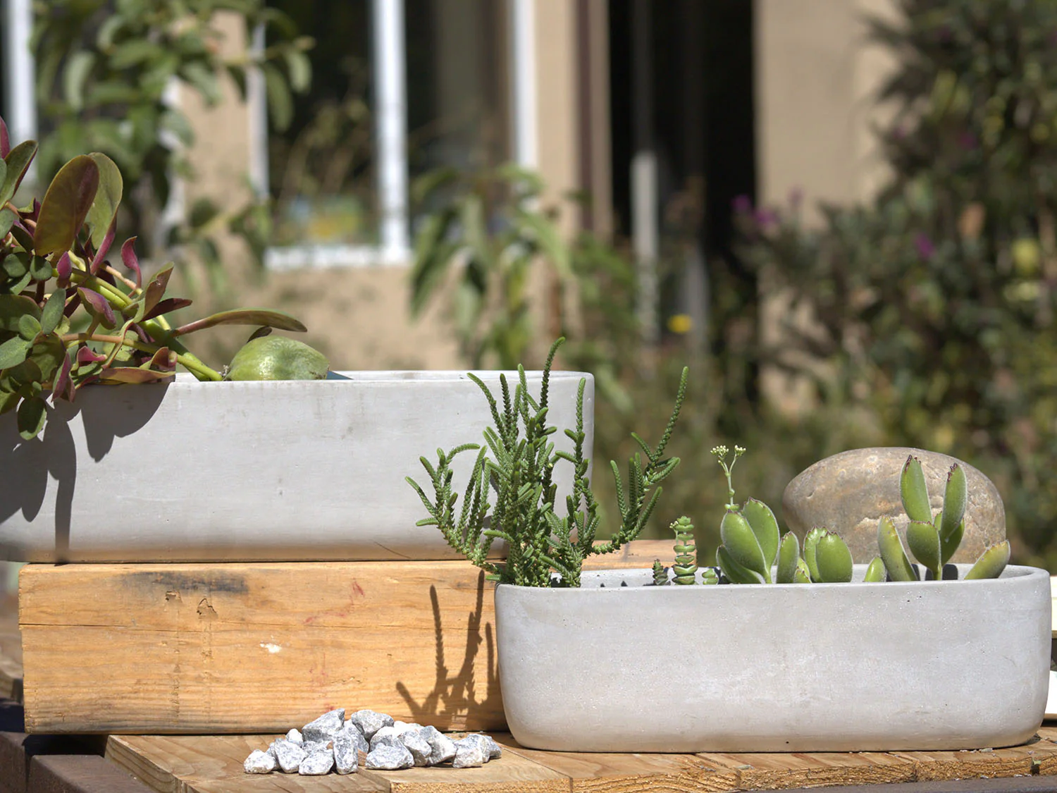 Low Oval Concrete Planter By Plantatorem - Image 2