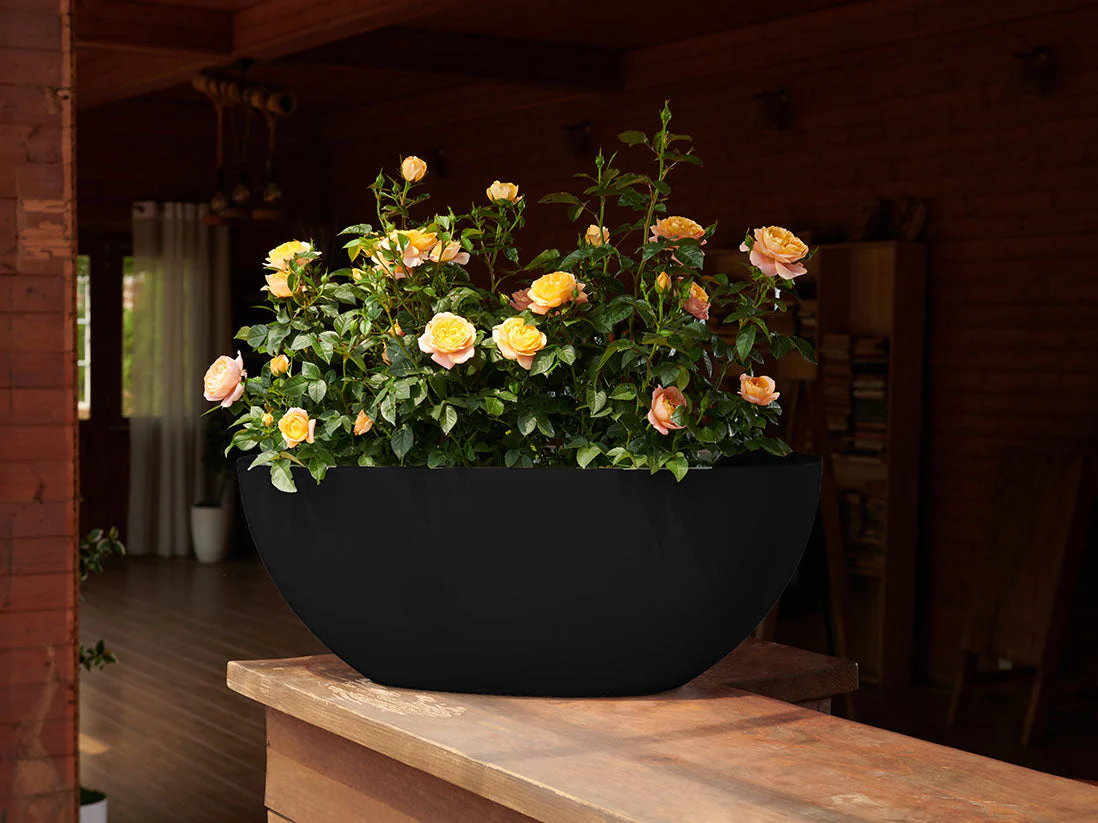 Low Oval Planters By Plantatorem - Image 3