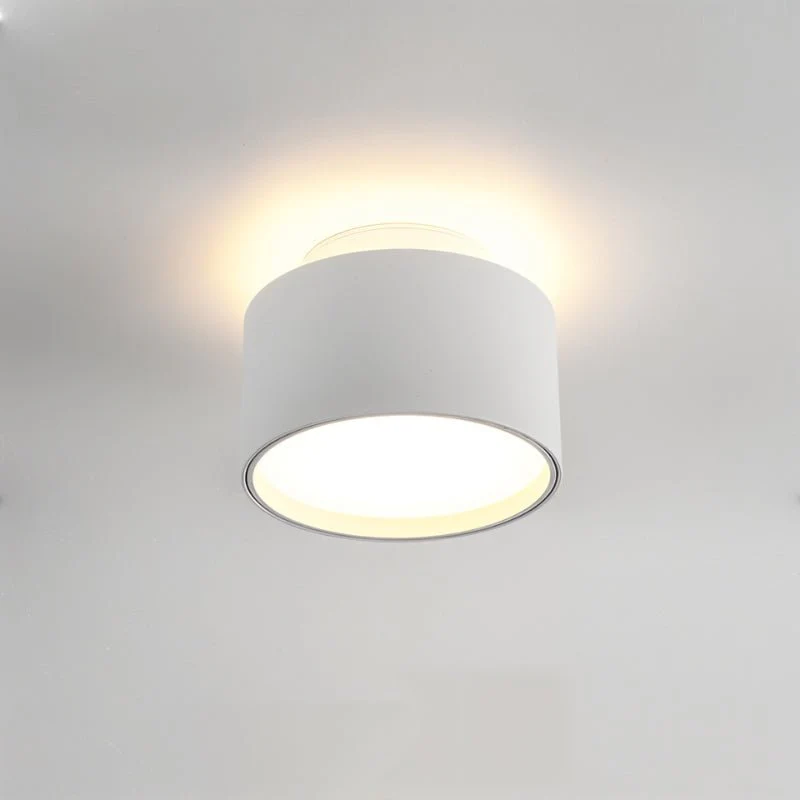 Lucinda Ceiling Light - Image 7